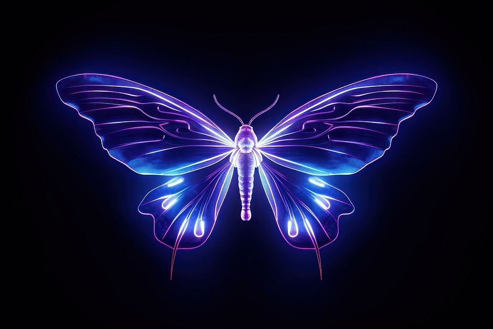 Illustration flying moth Neon rim light purple blue neon.