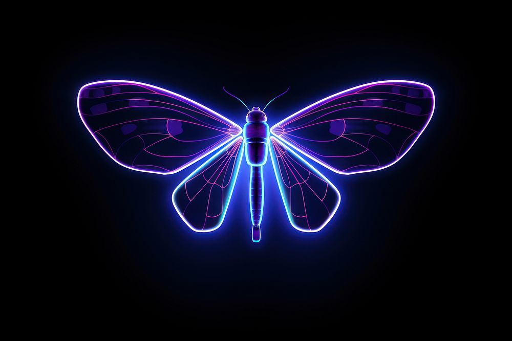 Illustration flying moth Neon rim light neon purple nature.