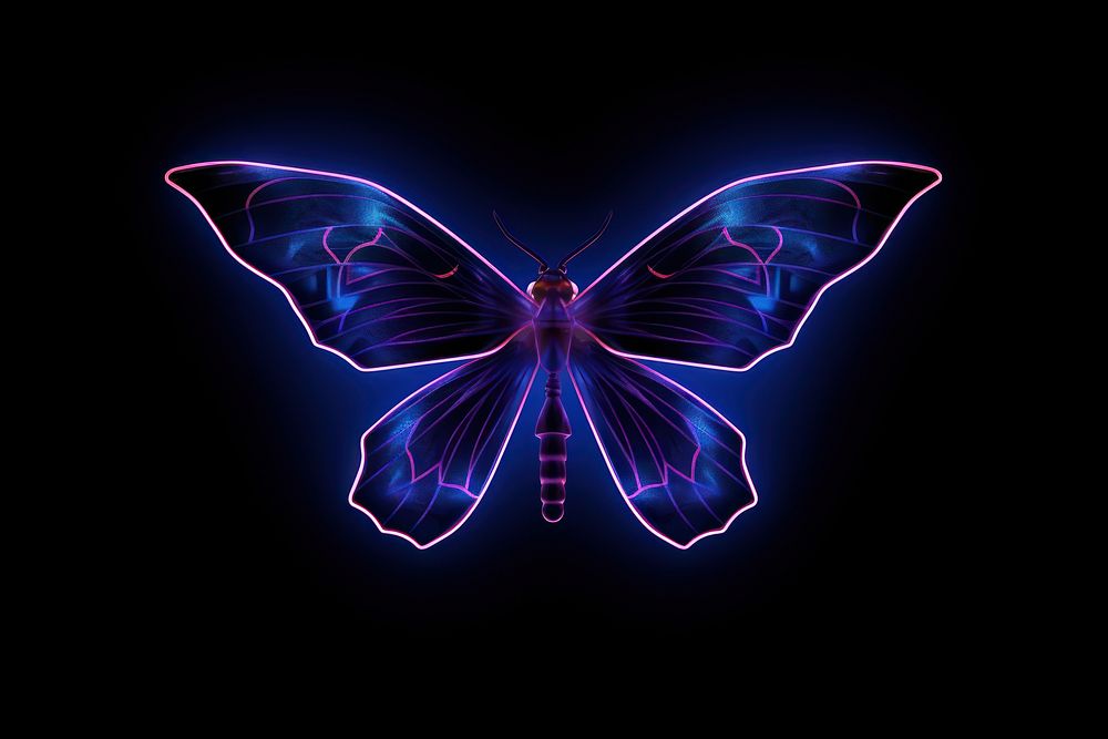 Illustration flying moth Neon rim light purple butterfly animal.