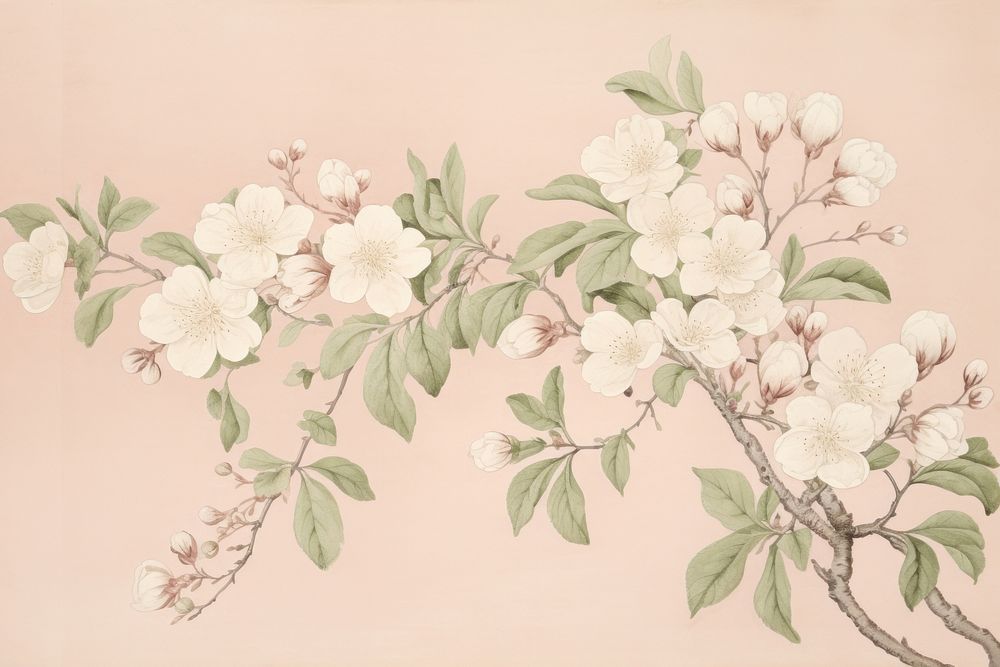 Illustration of cherry blossom art painting pattern.