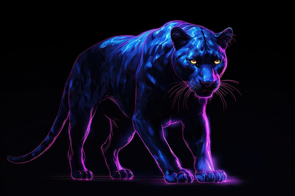 Illustration panther Neon rim light wildlife animal mammal.