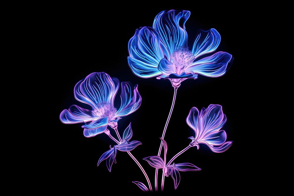 Illustration wild flower neon rim light purple plant blue.