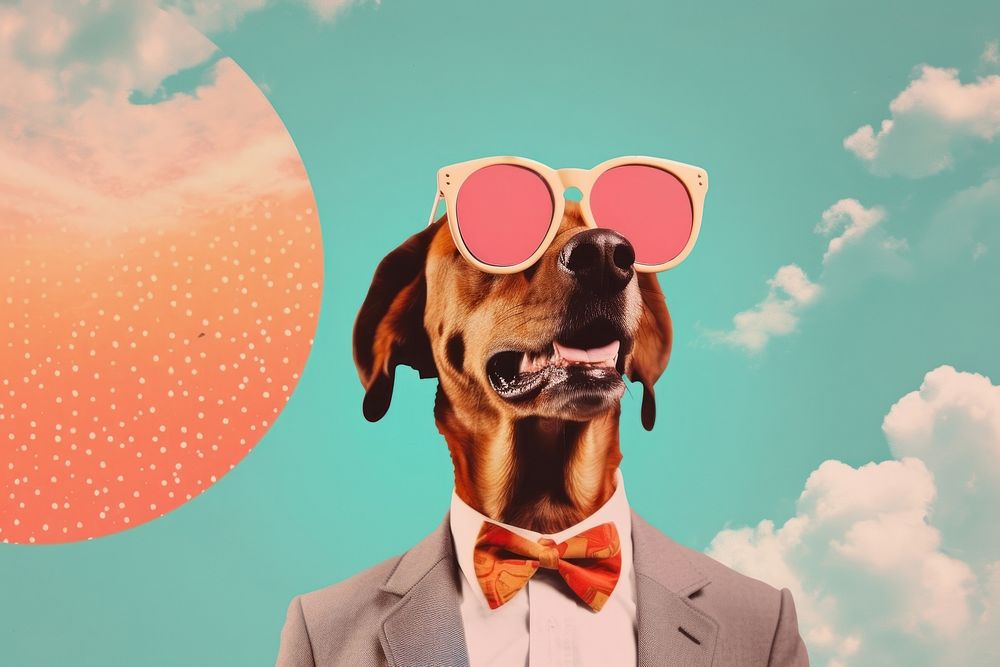 Dreamy Retro Collages whit a happy dog sunglasses animal mammal.