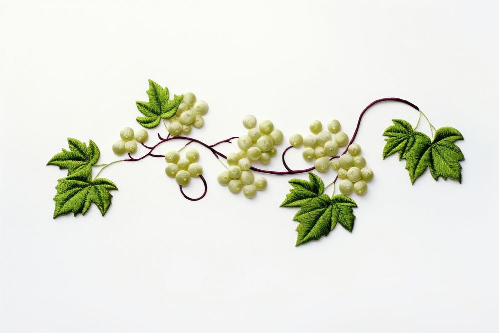Grapes ivy in embroidery style plant green herbs.