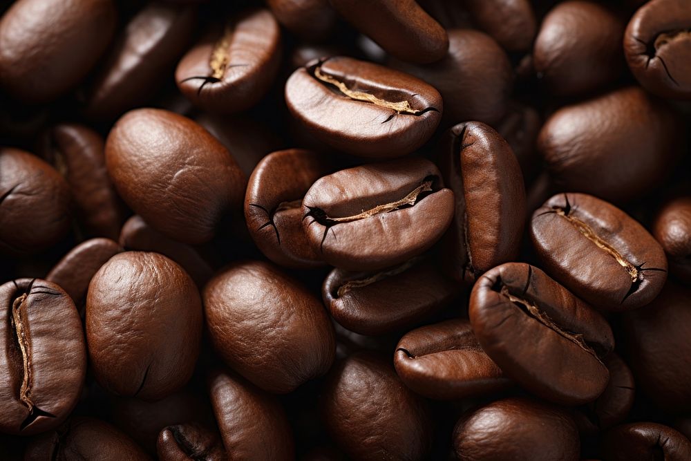 Coffee beans backgrounds freshness abundance.
