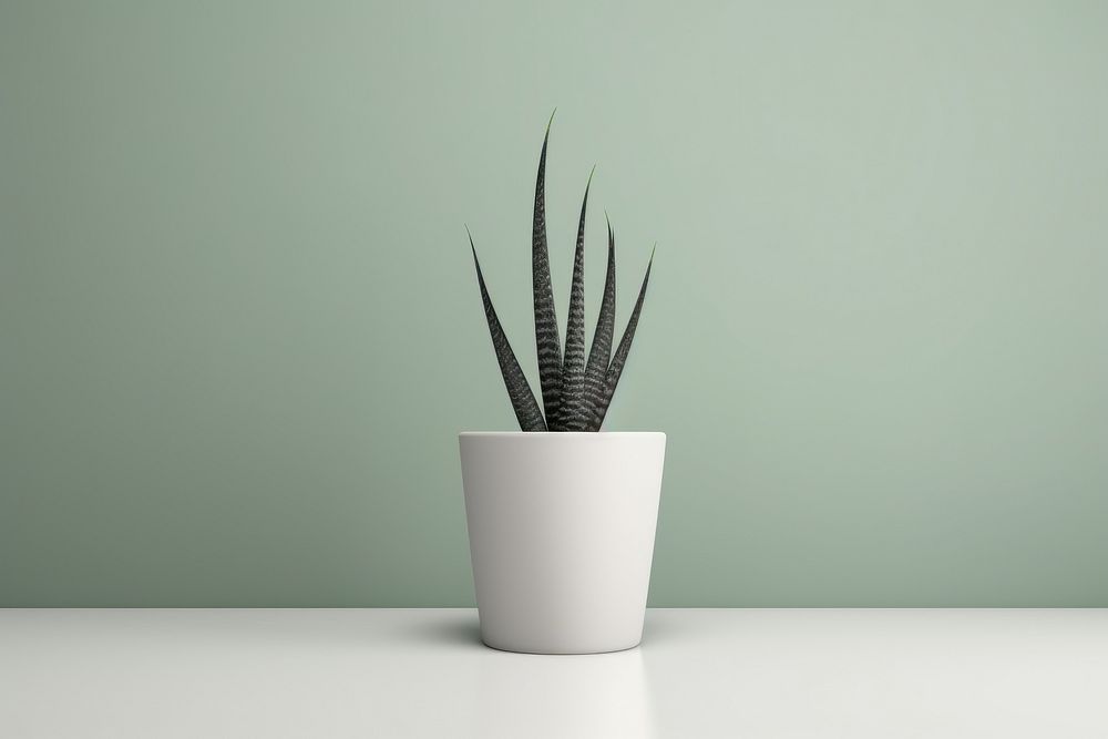 Aloe vera houseplant vase flowerpot planter. AI generated Image by rawpixel.