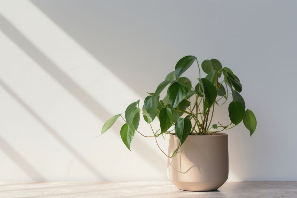 Houseplant leaf flowerpot nature. AI generated Image by rawpixel.