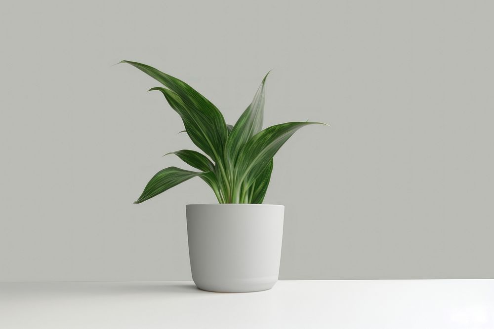 Houseplant vase leaf freshness. AI generated Image by rawpixel.