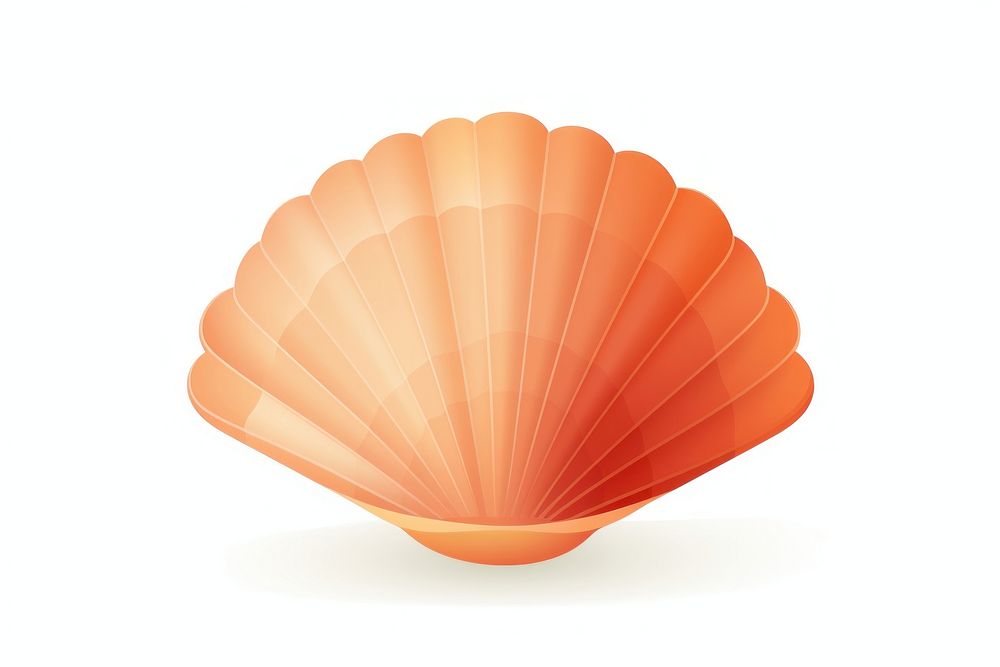 Sea shell clam white background invertebrate. AI generated Image by rawpixel.