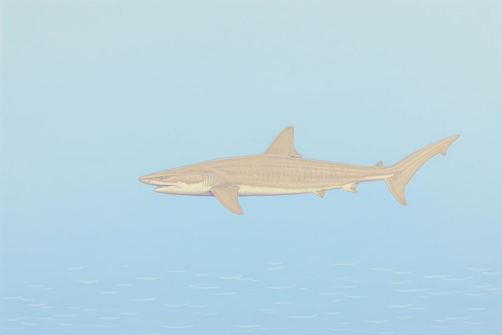 Hammerhead shark animal fish underwater.