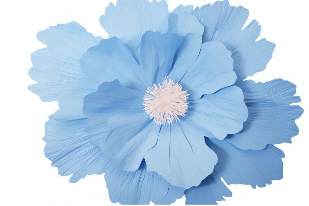 Blue flower petal plant white.