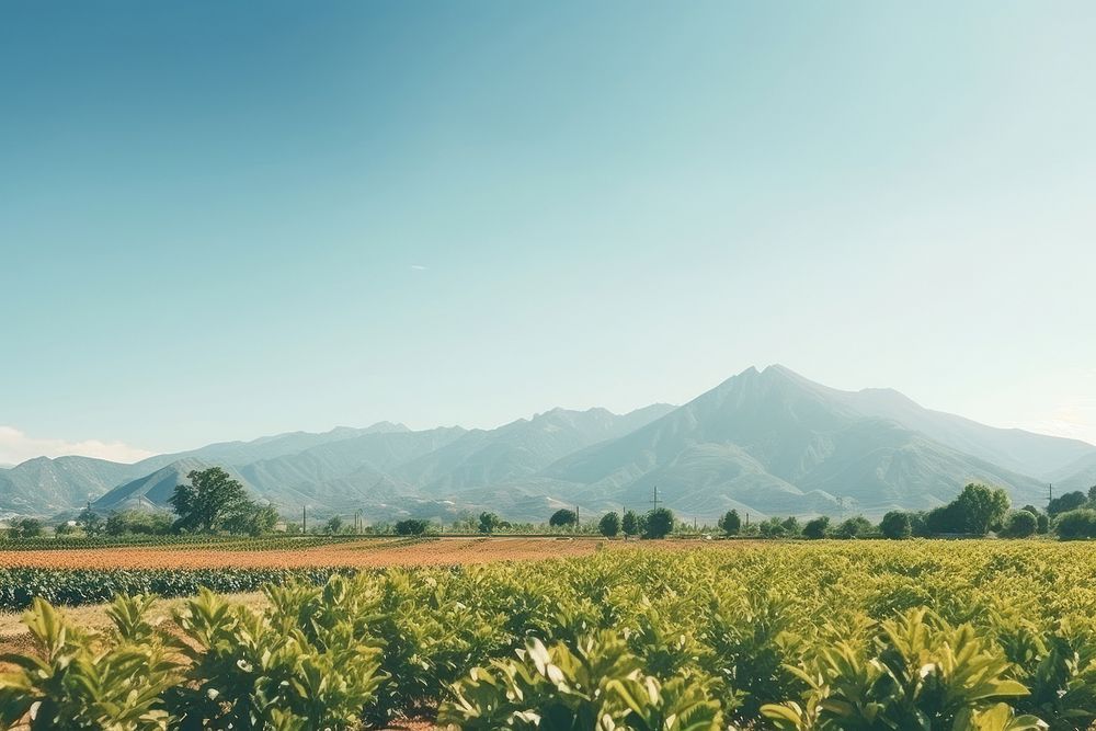  Fruit farm mountain sunlight outdoors. AI generated Image by rawpixel.