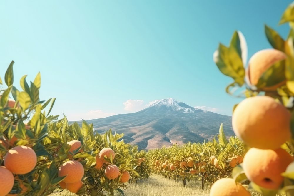  Fruit farm sky landscape mountain. AI generated Image by rawpixel.