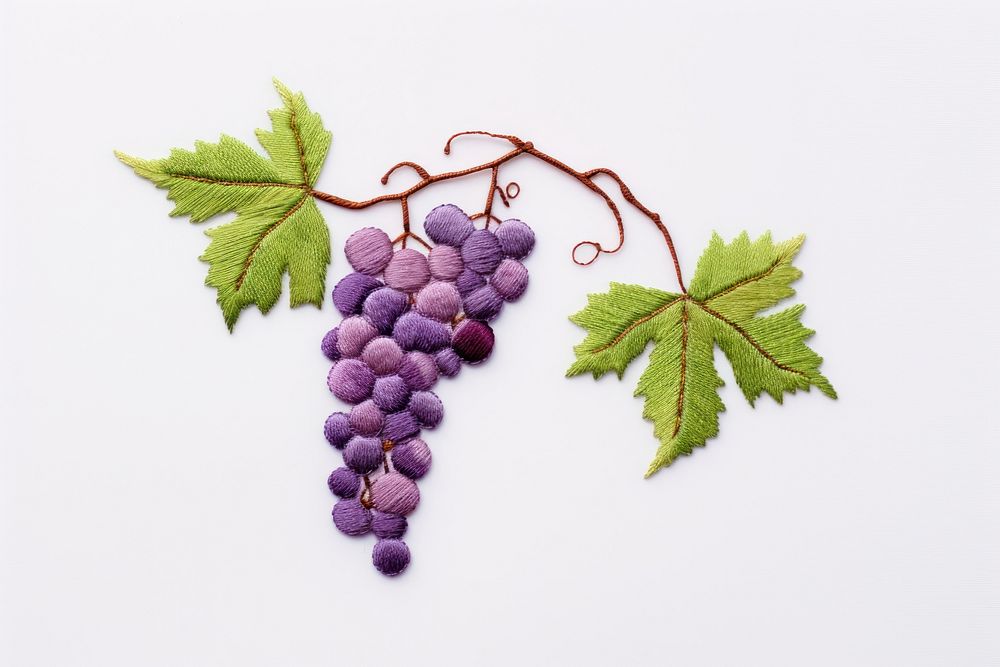 Grape in embroidery style grapes fruit plant.