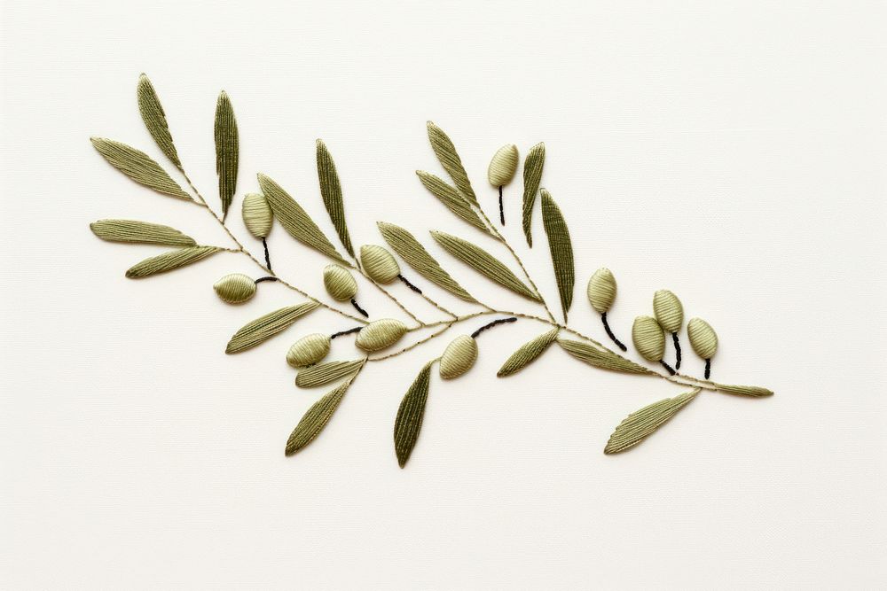 Olive leaf in embroidery style plant calligraphy annonaceae.