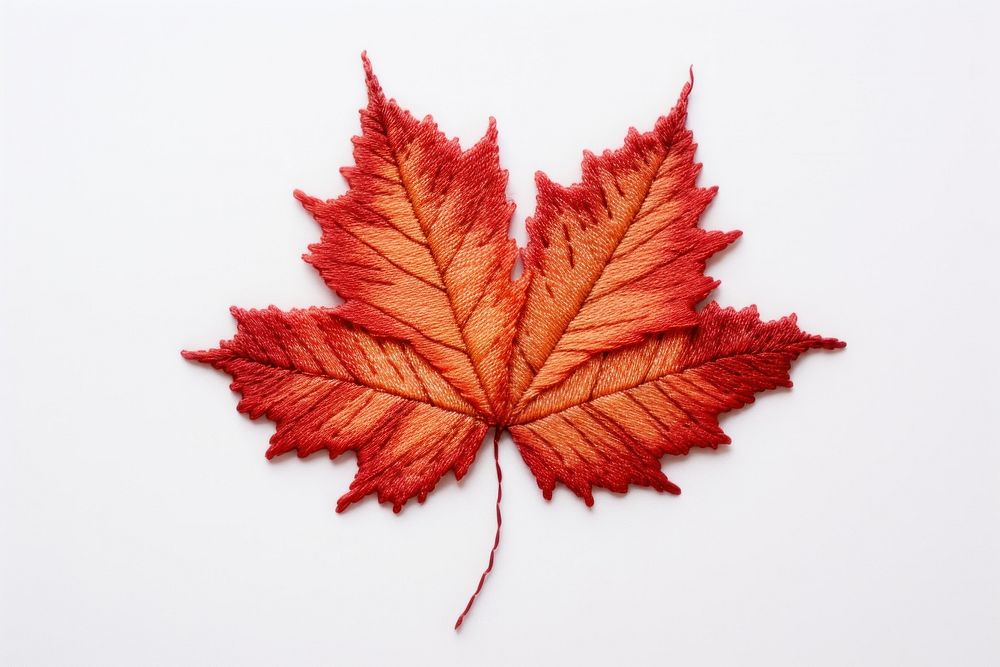 Maple leaf in embroidery style plant tree pattern.