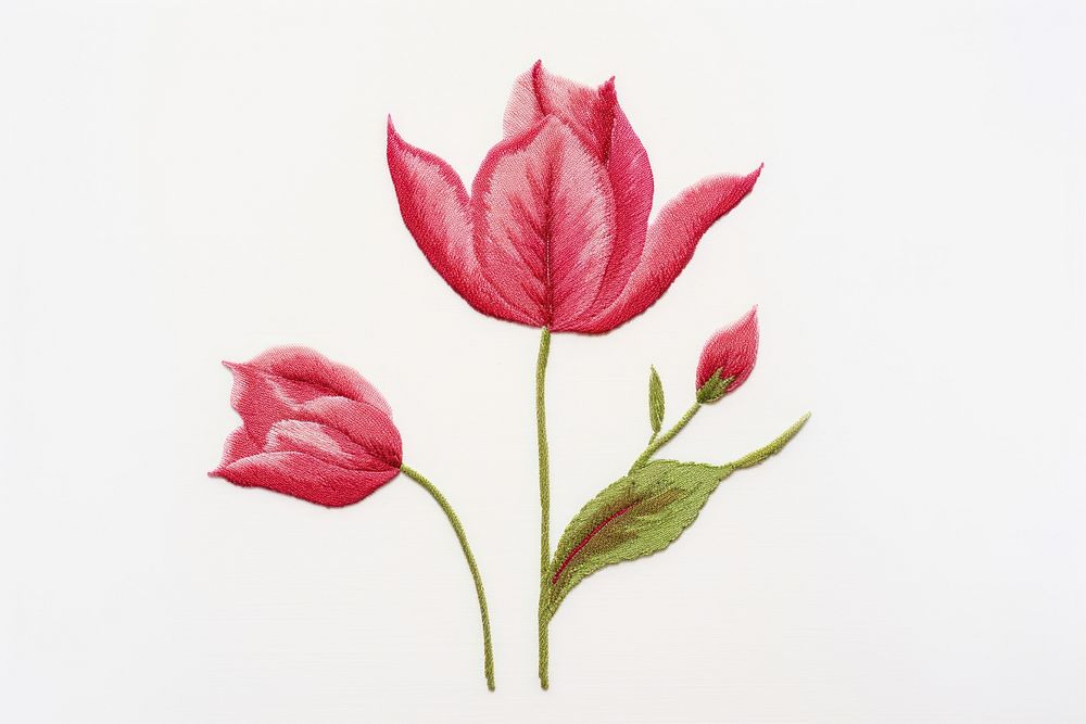 Simplify tulip in embroidery style flower petal plant.