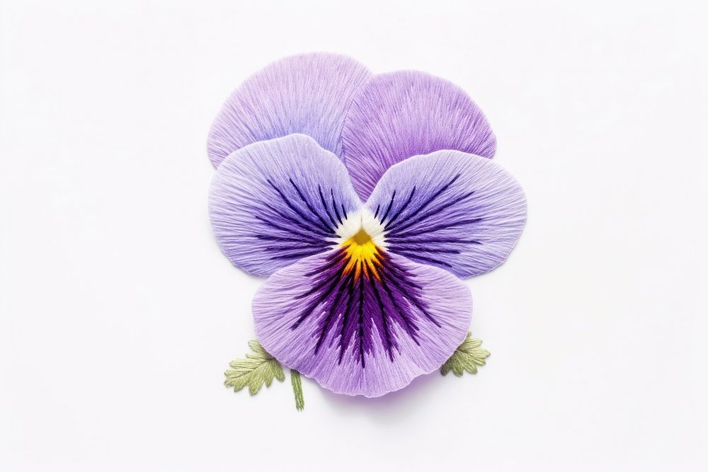 Pansy in embroidery style flower purple petal.