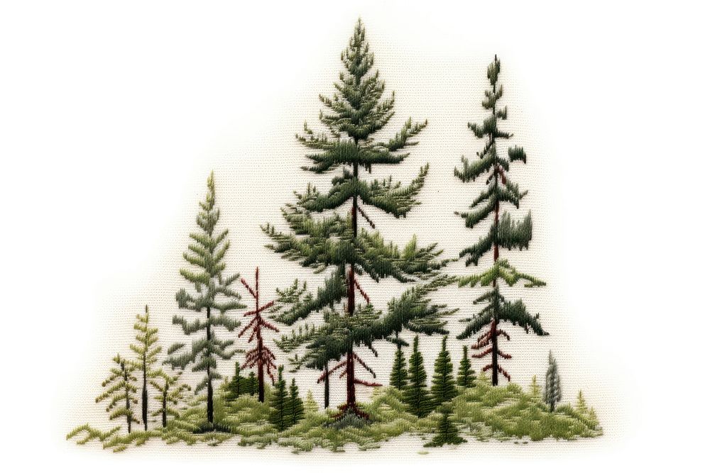 Pine tree in embroidery style plant fir tranquility.