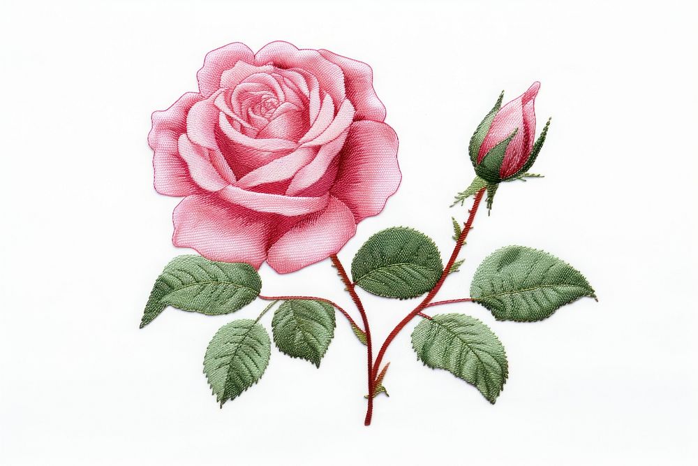 Pink rose in embroidery style pattern flower plant.