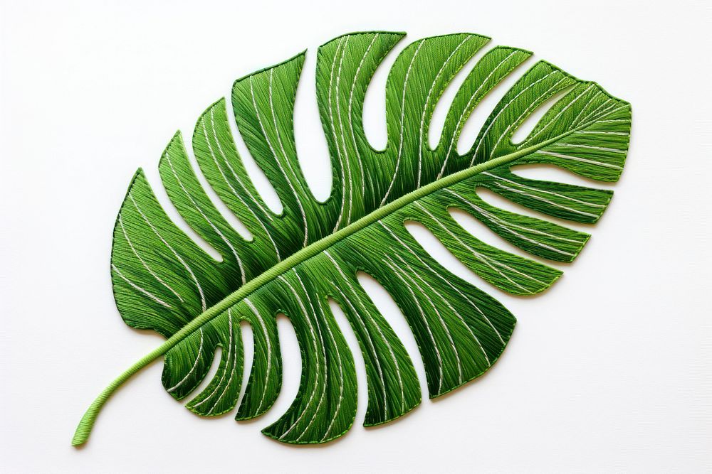 Tropical leaf in embroidery style plant xanthosoma freshness.