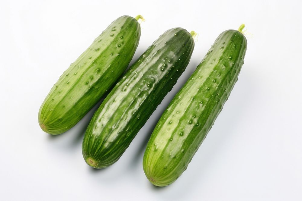 Big cucumber group vegetable plant food.