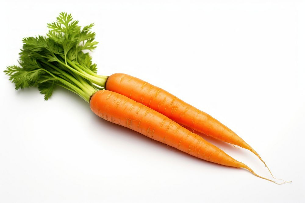 Fresh Carrot carrot vegetable plant.