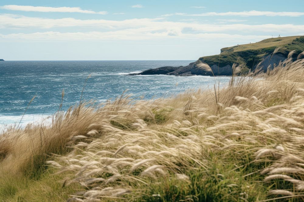  Sea grass landscape outdoors. AI generated Image by rawpixel.