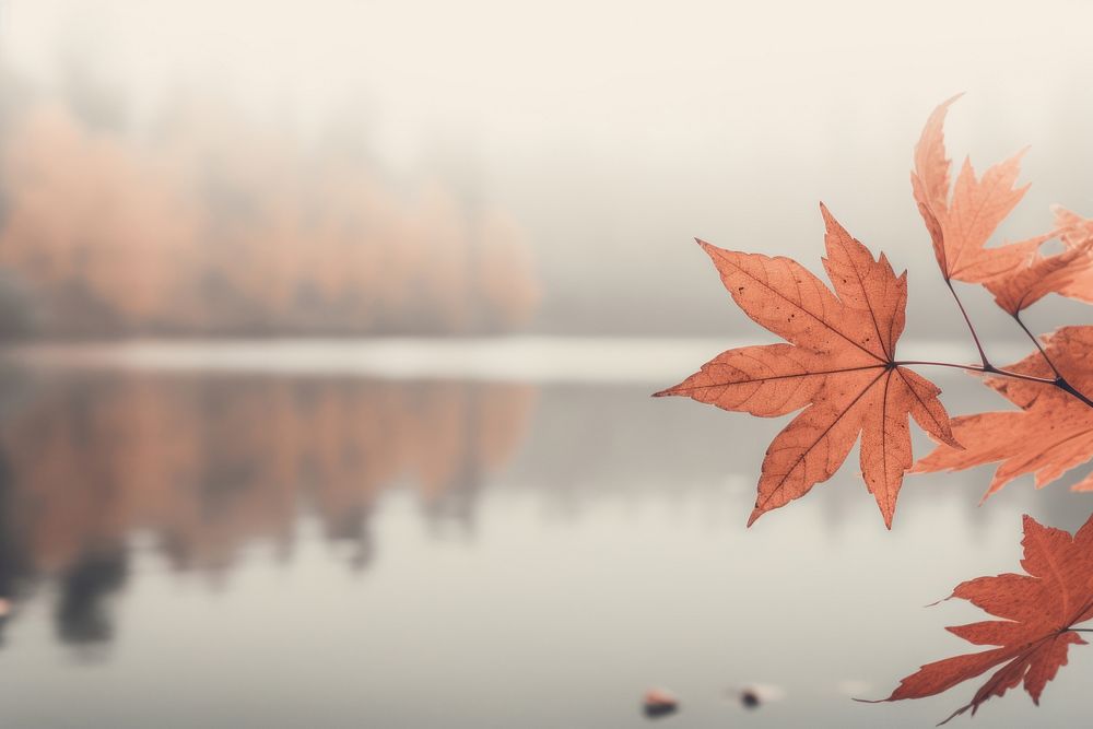  Autumn nature plant leaf. AI generated Image by rawpixel.