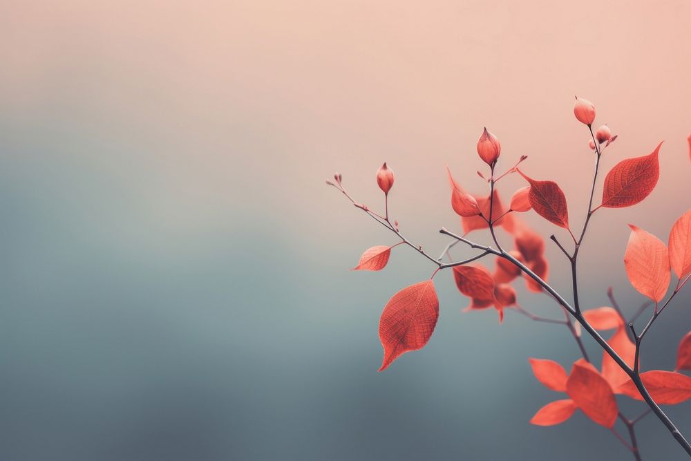  Autumn blossom nature flower. AI generated Image by rawpixel.
