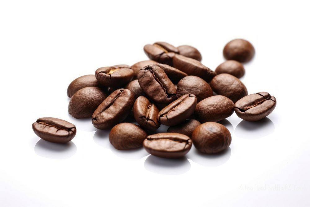 Coffee beans backgrounds white background chocolate.