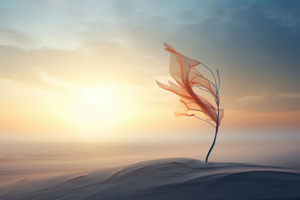  Sunrise with the wind landscape outdoors horizon. AI generated Image by rawpixel.