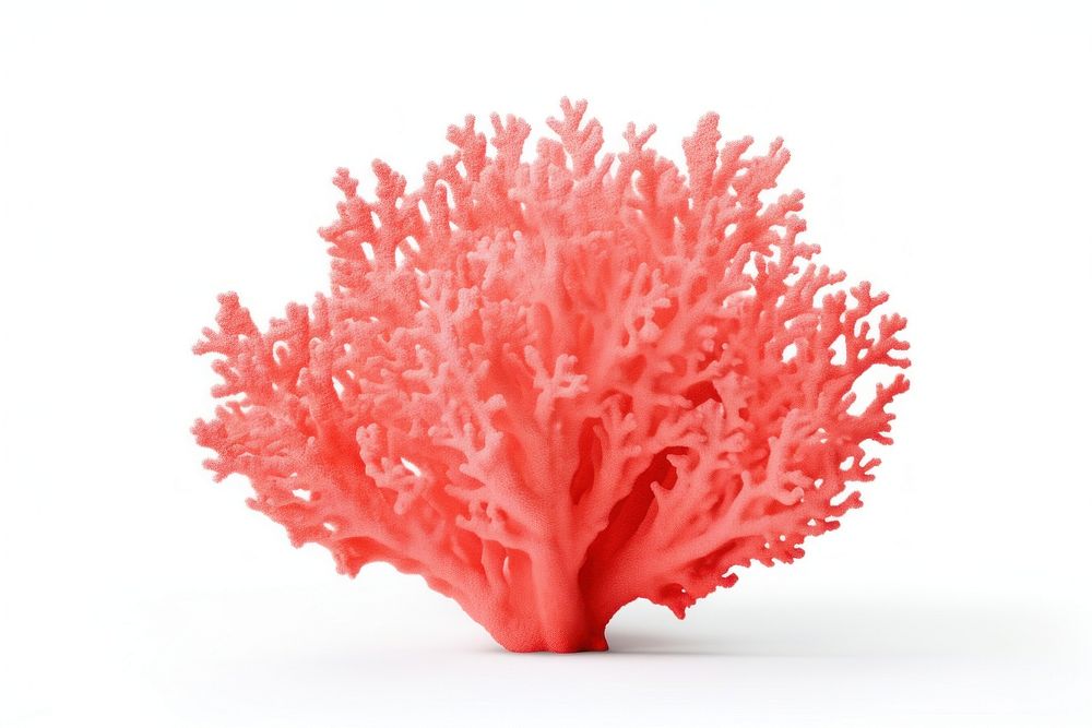 Coral nature plant sea. AI generated Image by rawpixel.