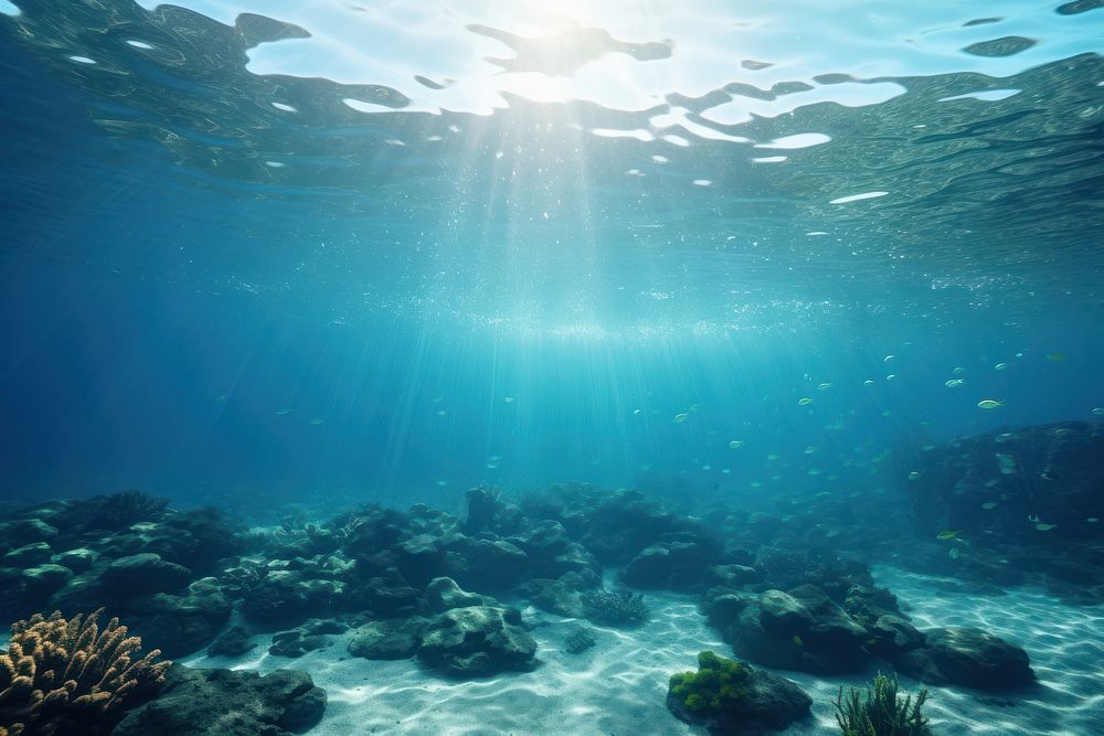 Undersea underwater outdoors nature. 