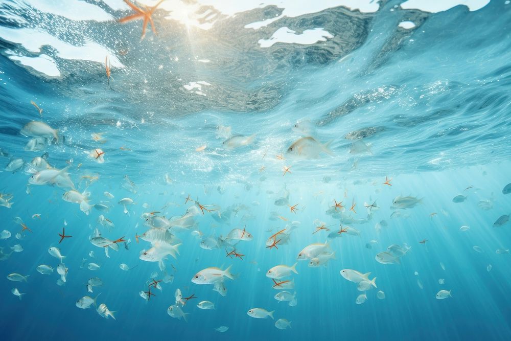 Ocean fish sea underwater undersea. AI generated Image by rawpixel.