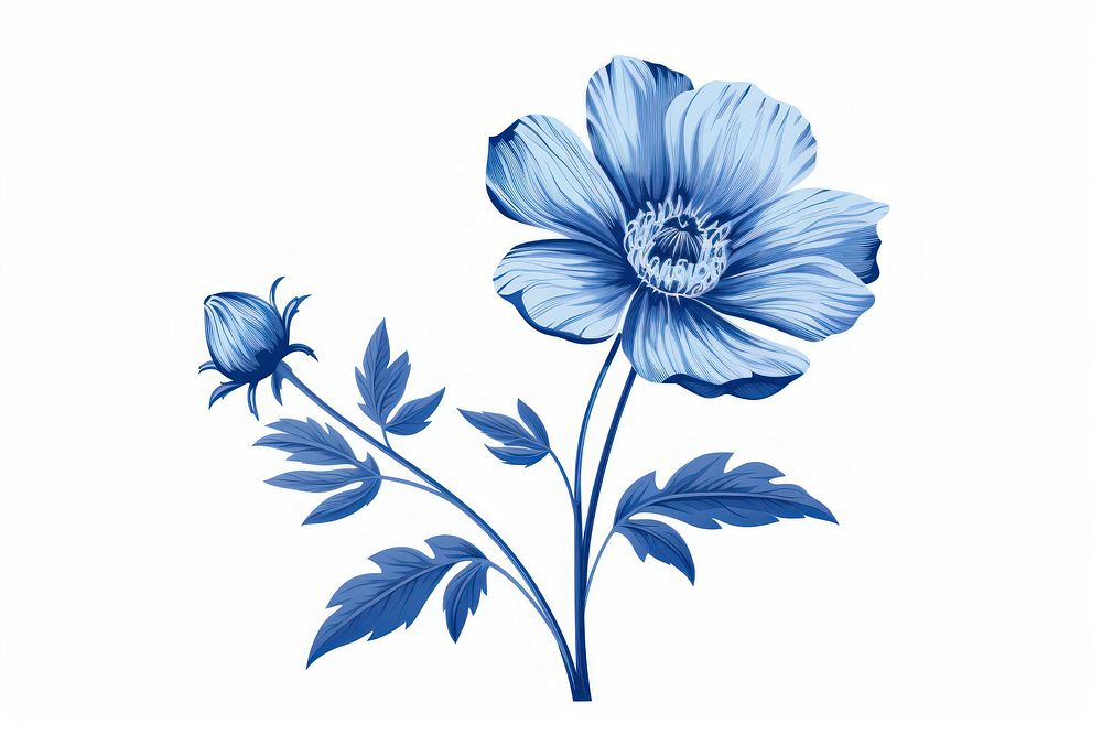 Blue flower pattern plant white.