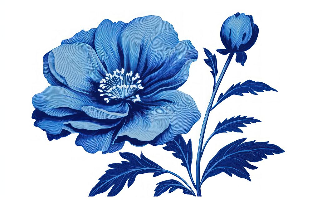 Blue flower pattern plant rose.