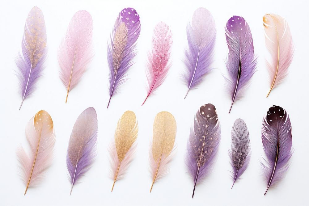 Glitter feather purple petal.