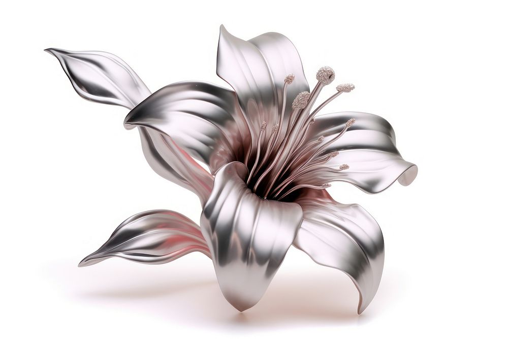 Lilly Chrome material flower petal plant.