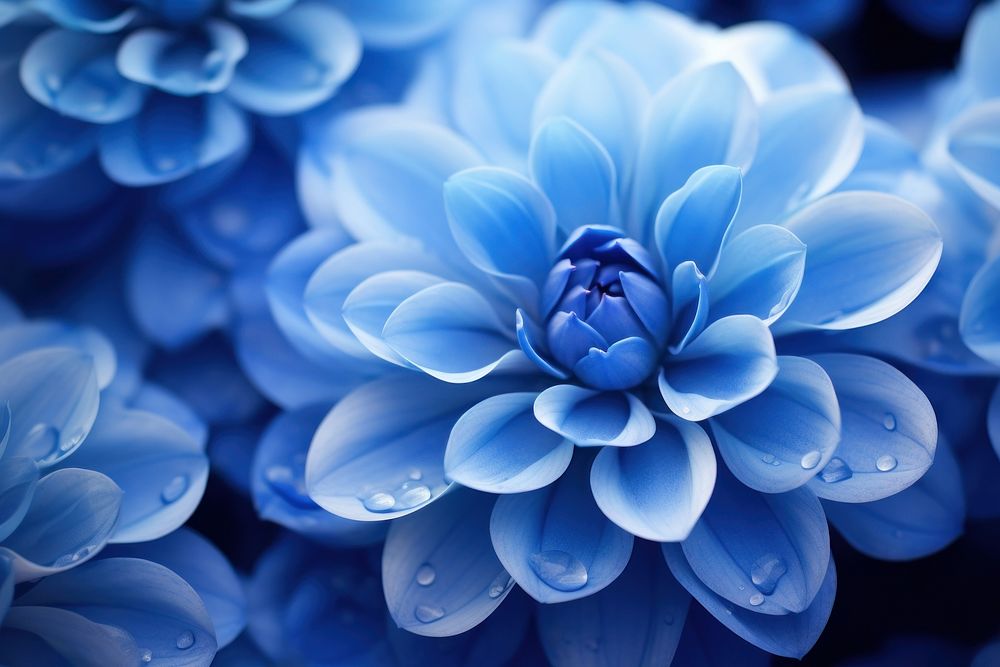  Blue flower backgrounds inflorescence fragility. AI generated Image by rawpixel.