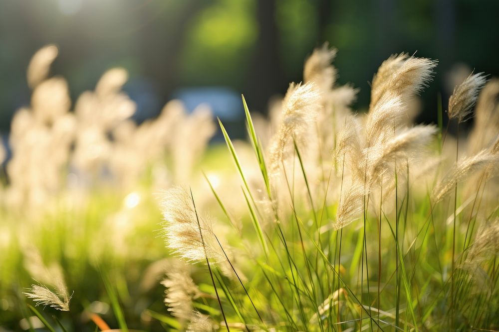  Nature grass outdoors plant. AI generated Image by rawpixel.