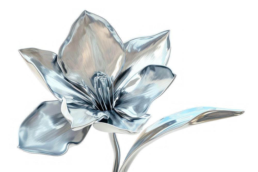 Flower jewelry silver plant.