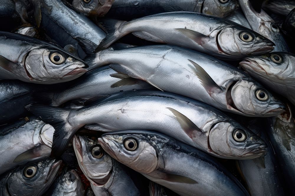 Fish market sardine herring animal. AI generated Image by rawpixel.