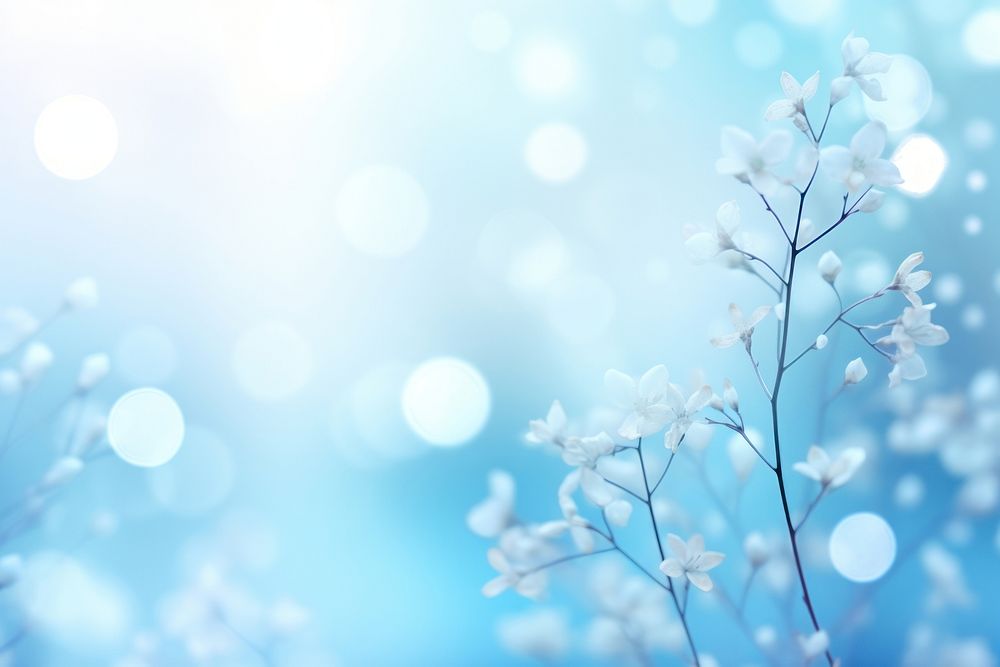  Blue boukeh backgrounds outdoors blossom. AI generated Image by rawpixel.