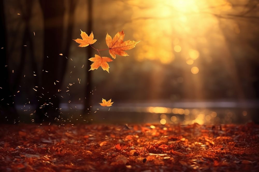  Nature autumn leaf falling. AI generated Image by rawpixel.