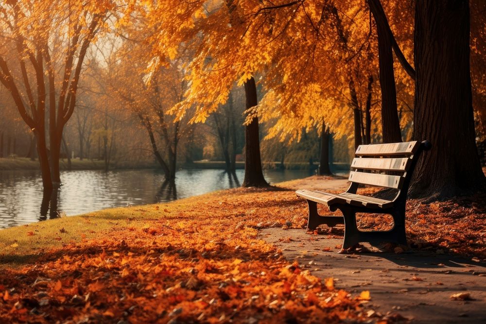 Nature autumn bench outdoors. AI generated Image by rawpixel.