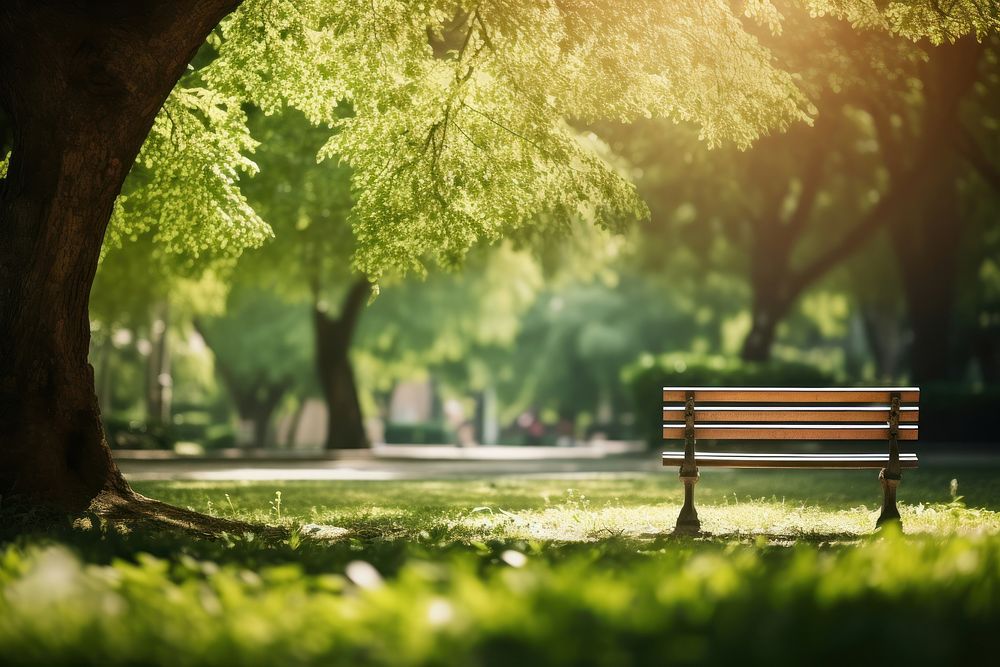  Nature bench furniture outdoors. AI generated Image by rawpixel.