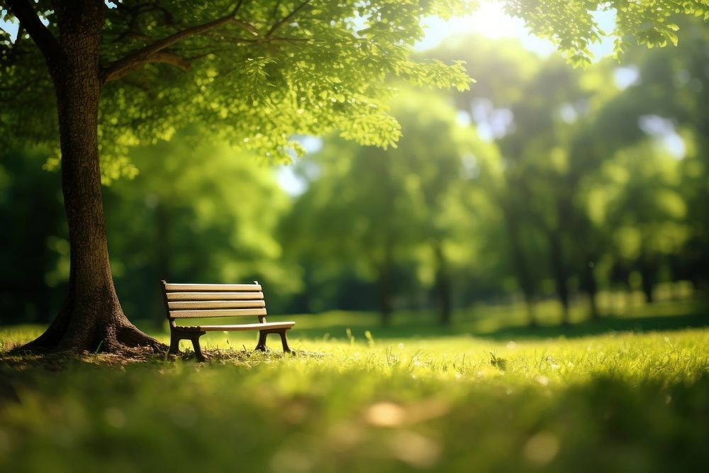  Nature bench outdoors plant. AI generated Image by rawpixel.