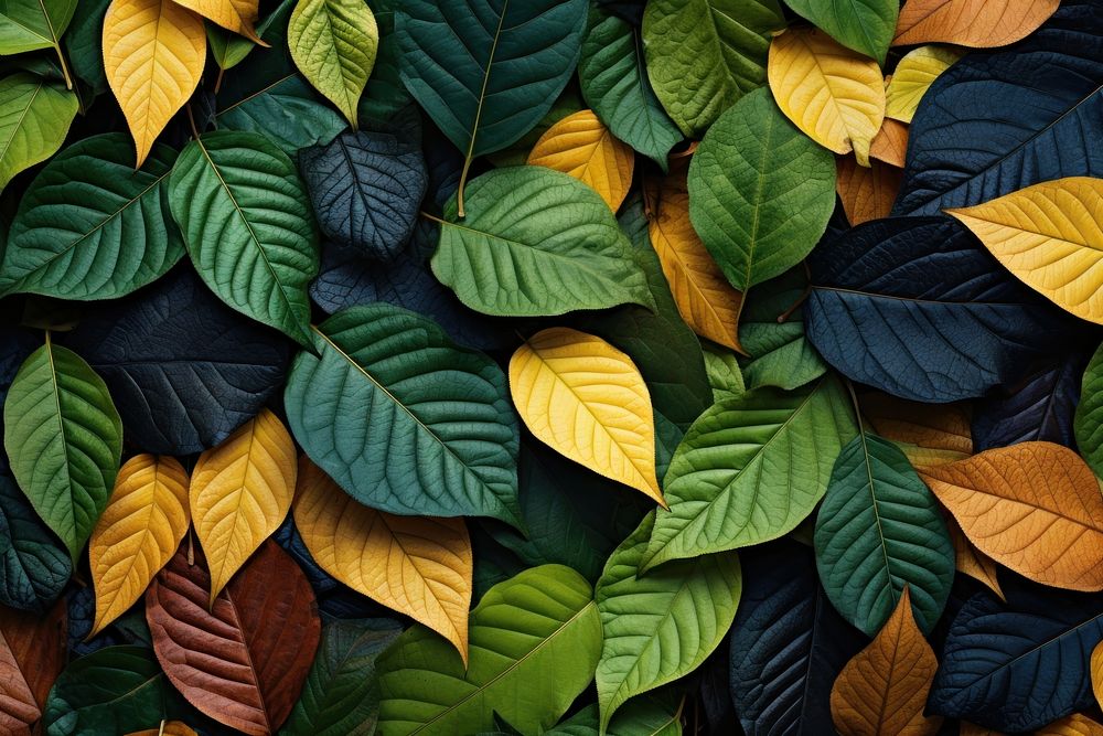  Nature backgrounds outdoors leaves. AI generated Image by rawpixel.