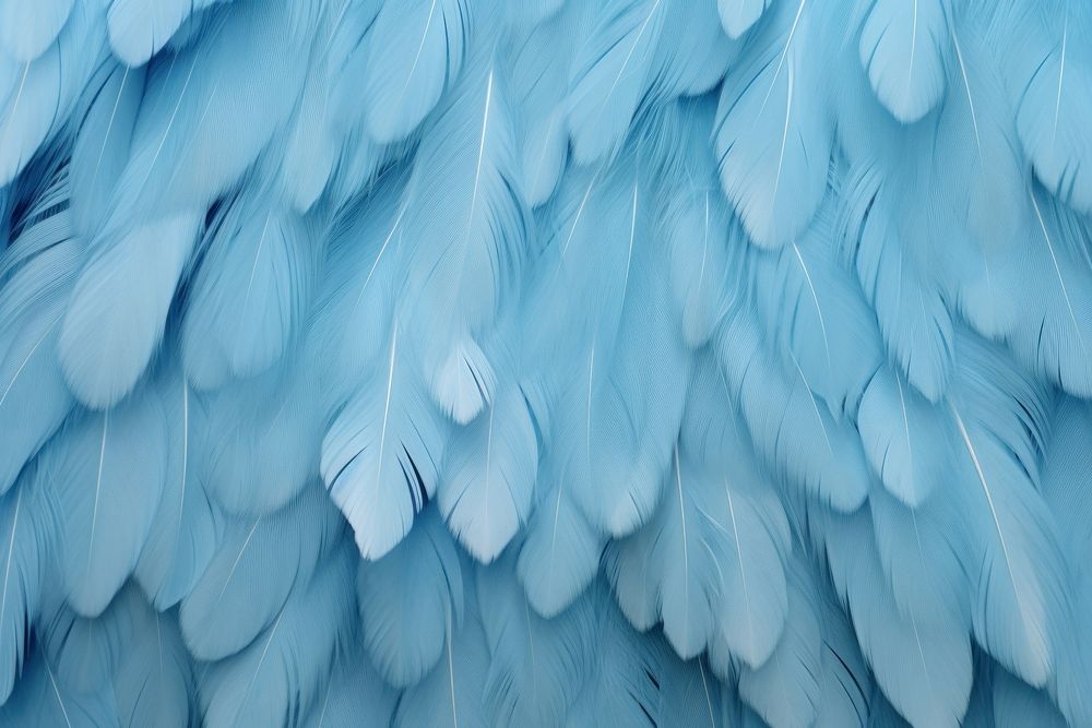  Blue feather backgrounds turquoise pattern. AI generated Image by rawpixel.